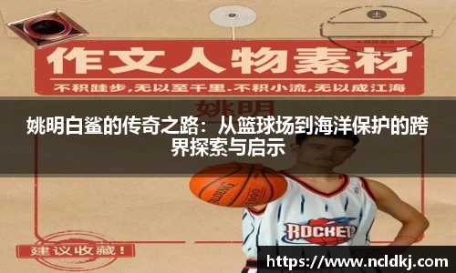 姚明白鲨的传奇之路：从篮球场到海洋保护的跨界探索与启示